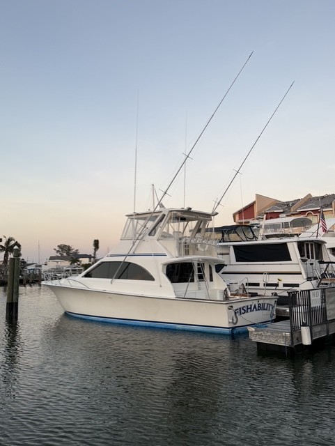 Gallery image 38