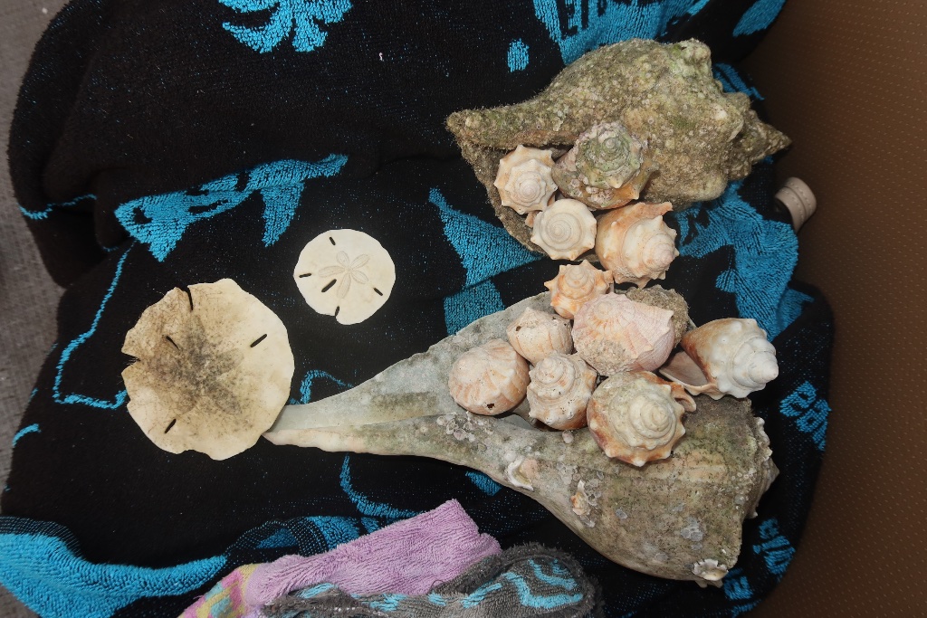 Gallery image 15