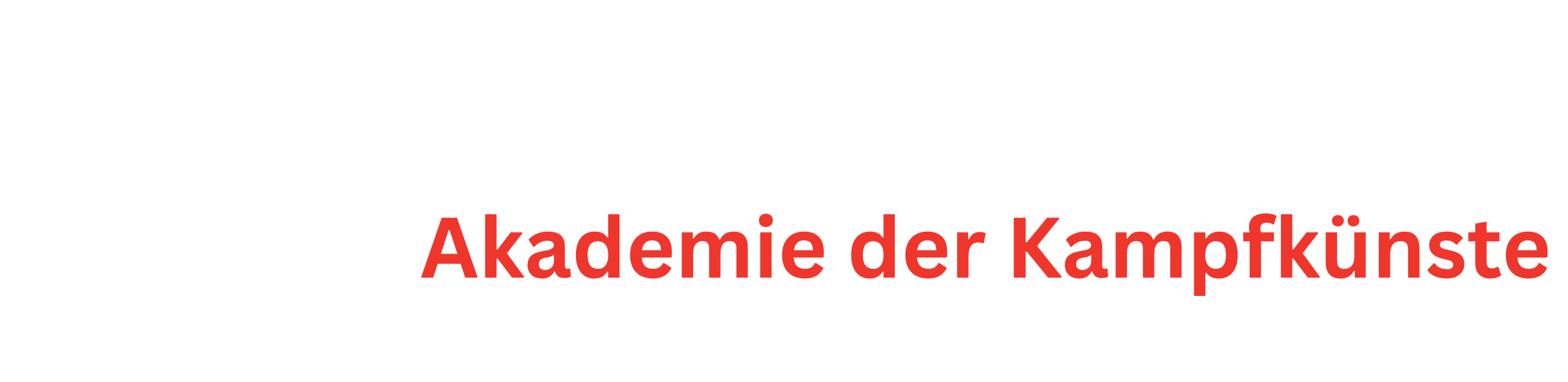 VD-Kampfkunst Akademie