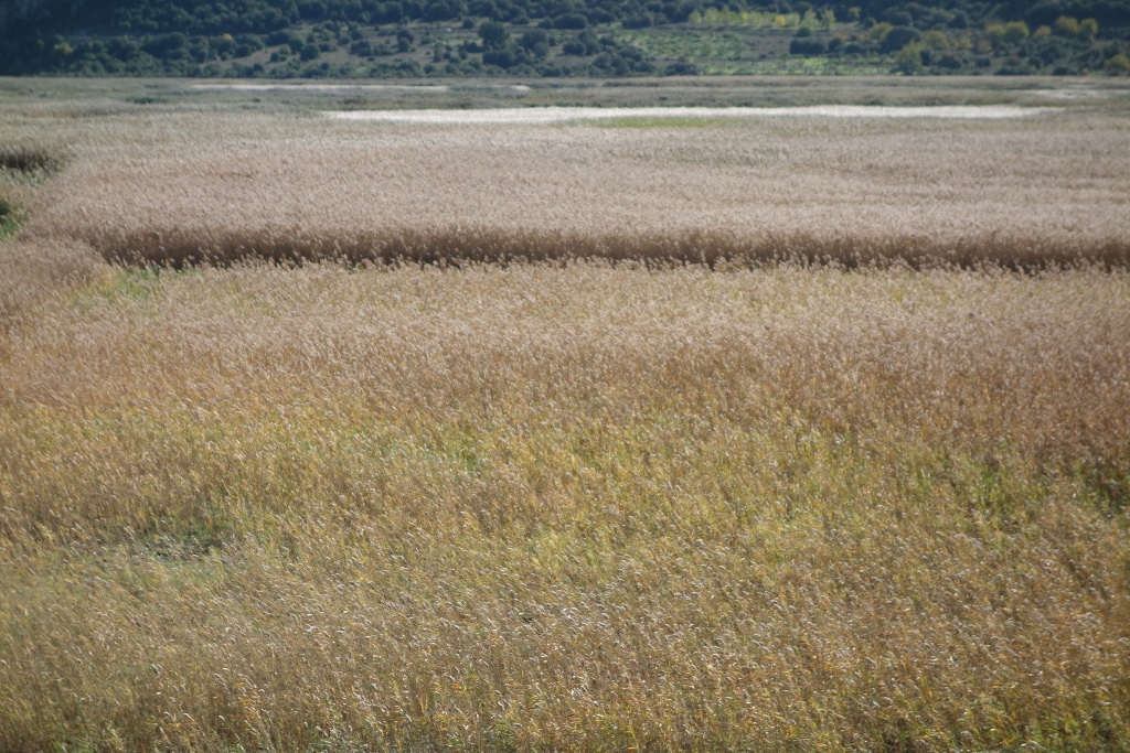 The Quiet Power of Spending More Time Outdoors
