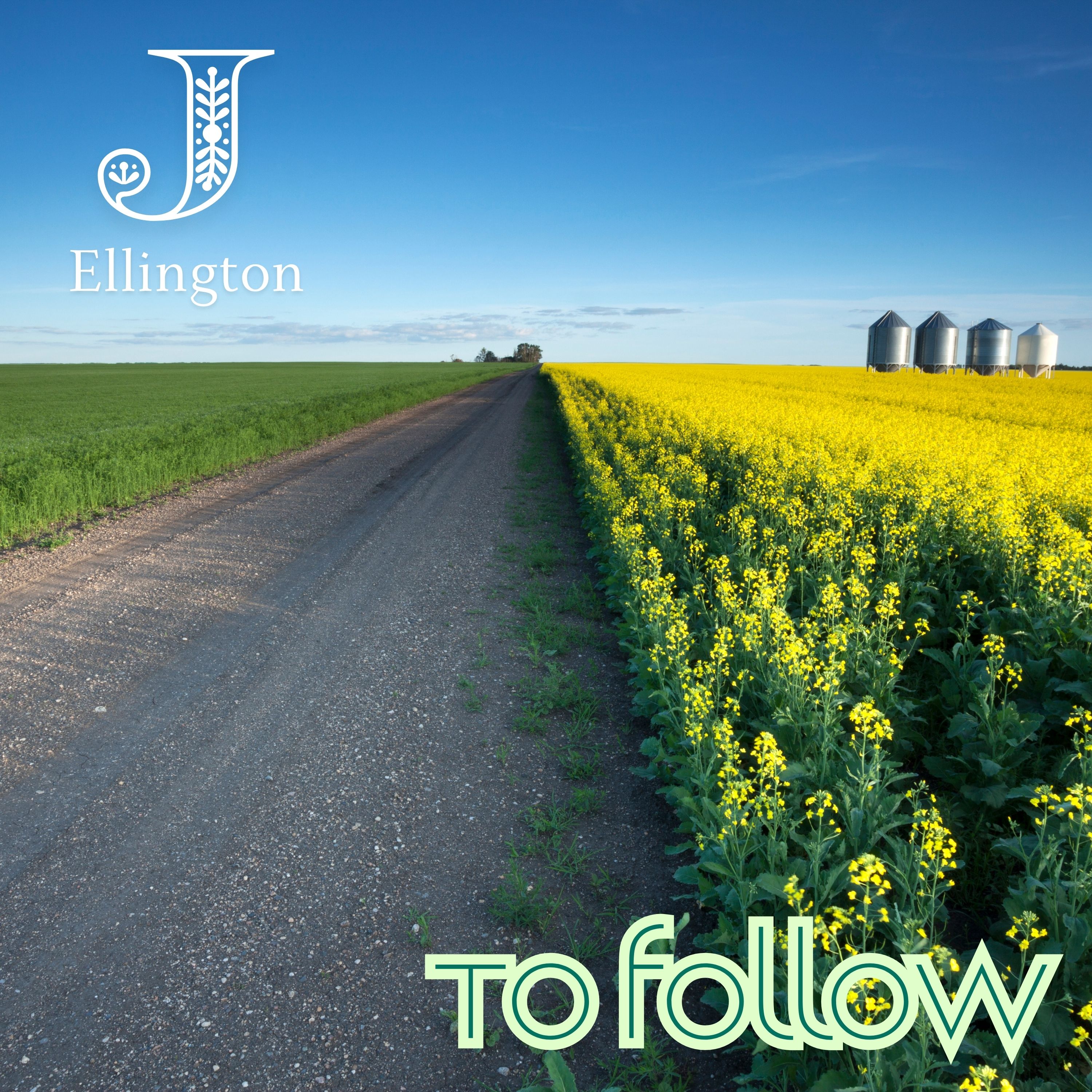 To Follow — Fields