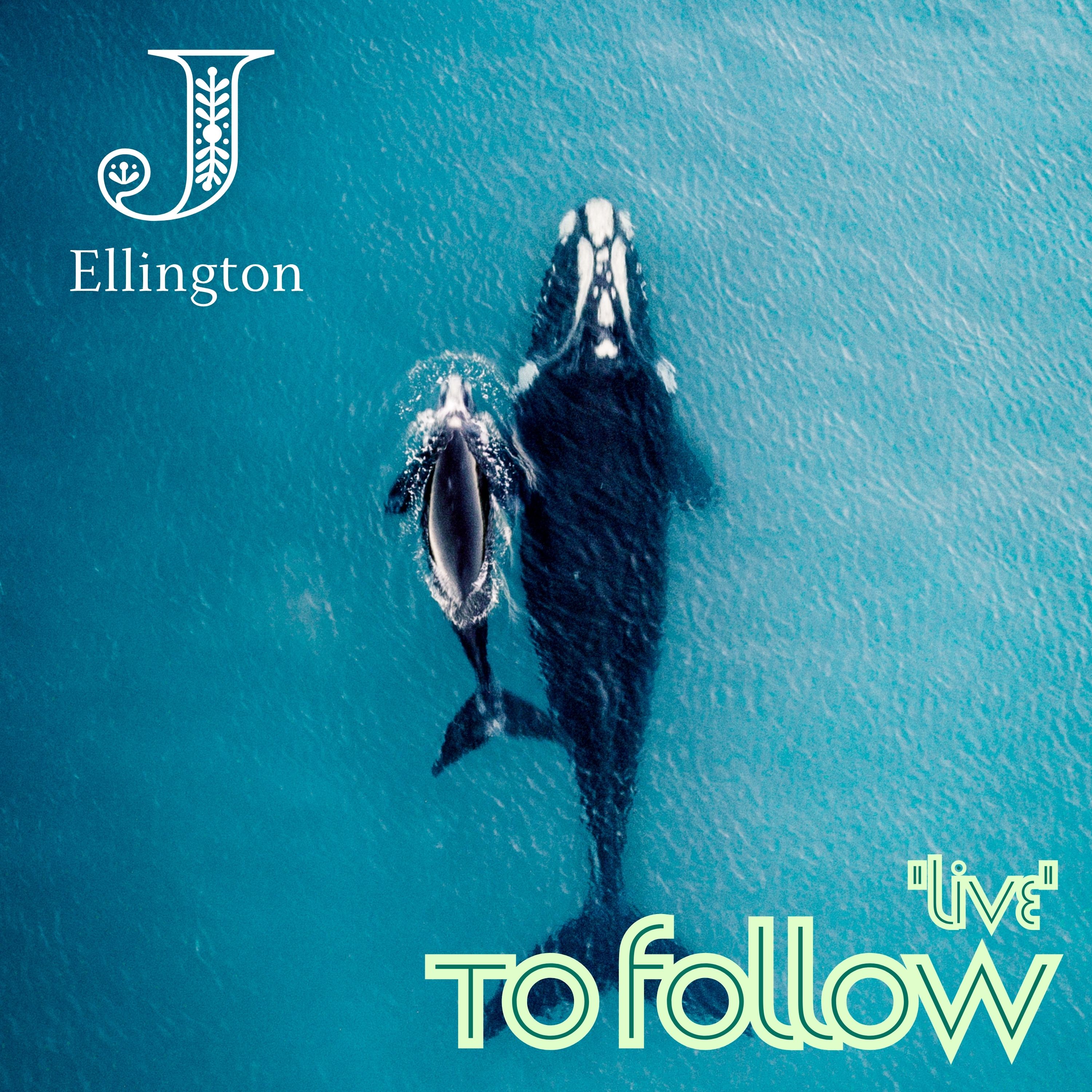 Live to Follow — Whales