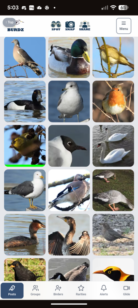 App screenshot 3