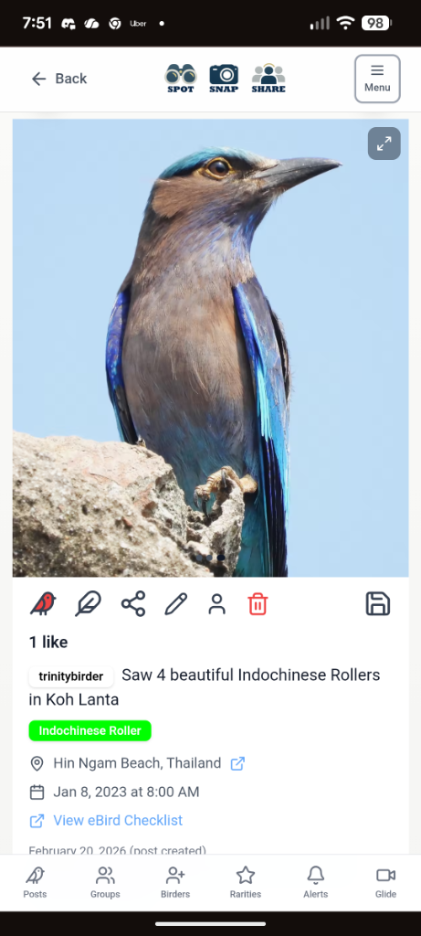 Bird sighting 9