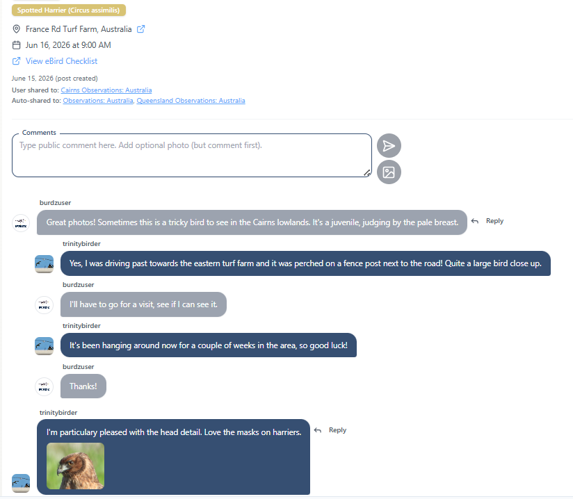 Desktop comment section