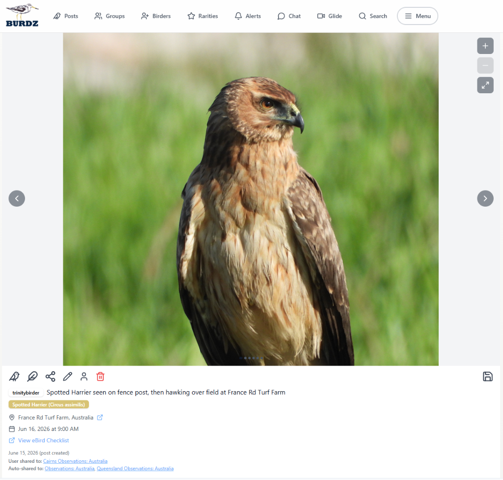Desktop post view 12