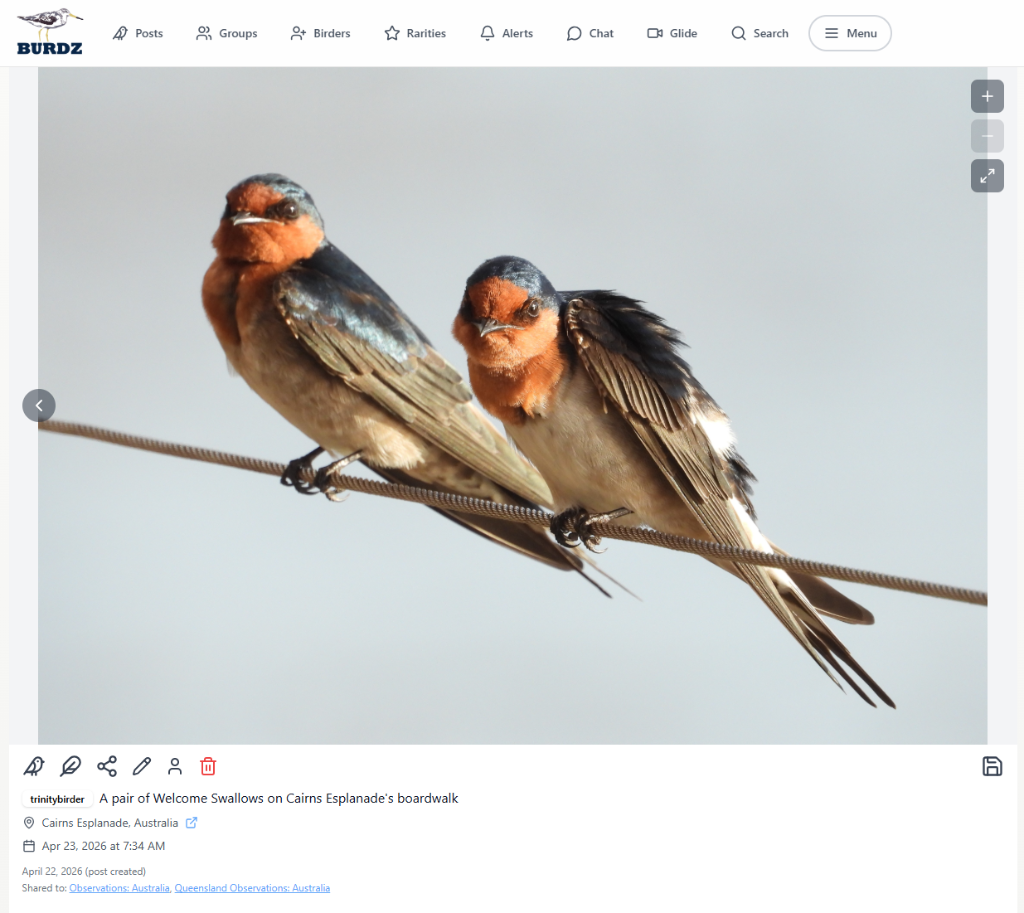 Desktop post view 6