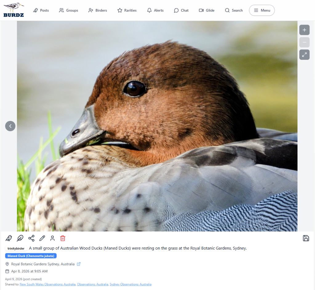 Desktop post view 4