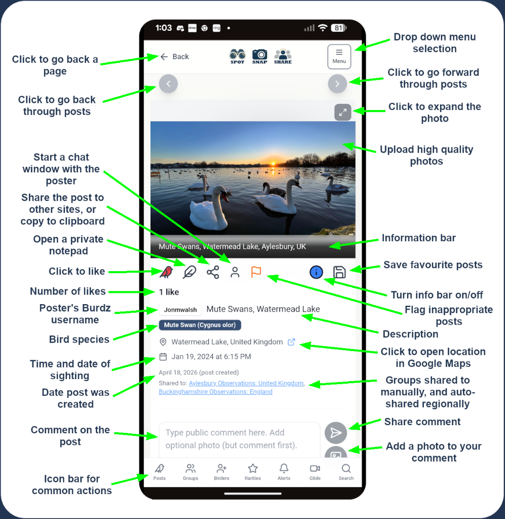 Annotated mobile post view explaining all features