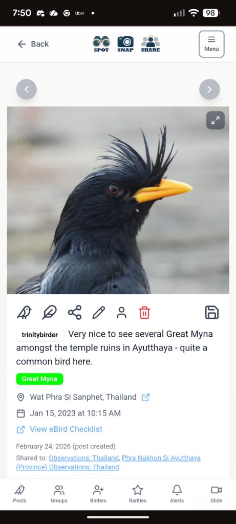 Bird sighting 8