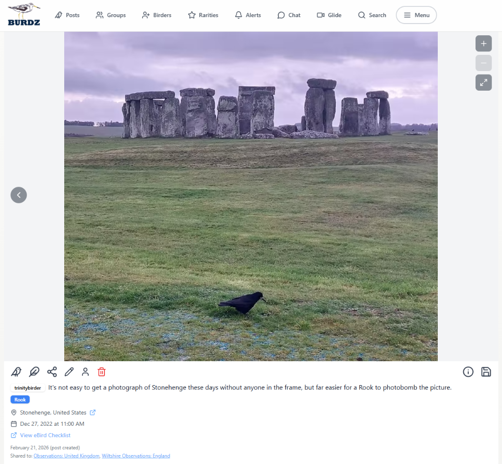 Desktop post view 11