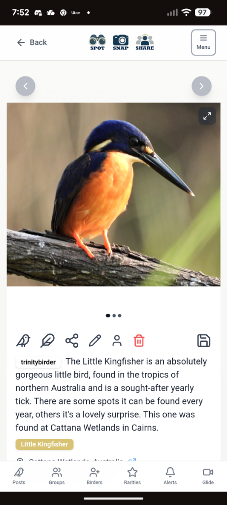 Bird sighting 1