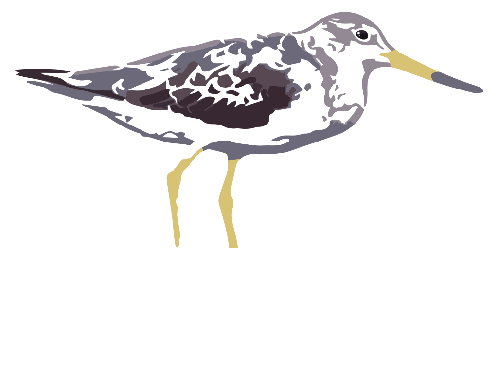 Burdz
