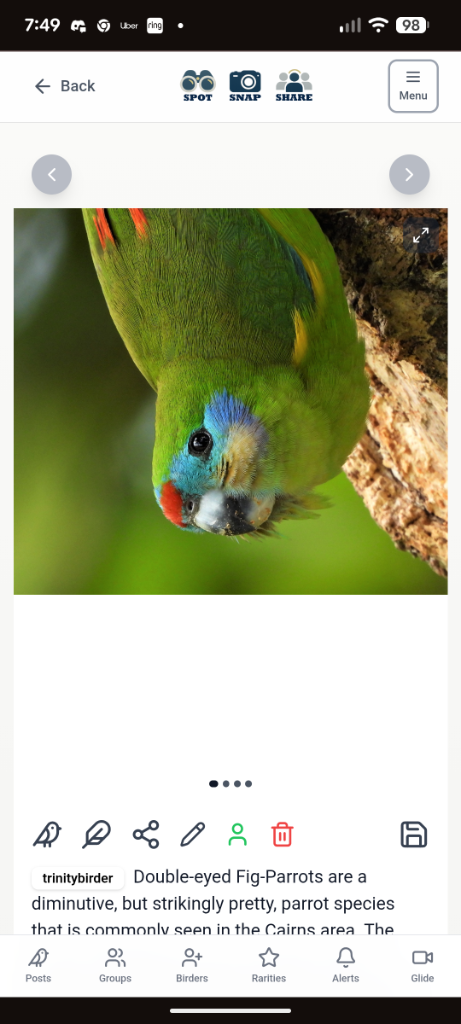Bird sighting 6