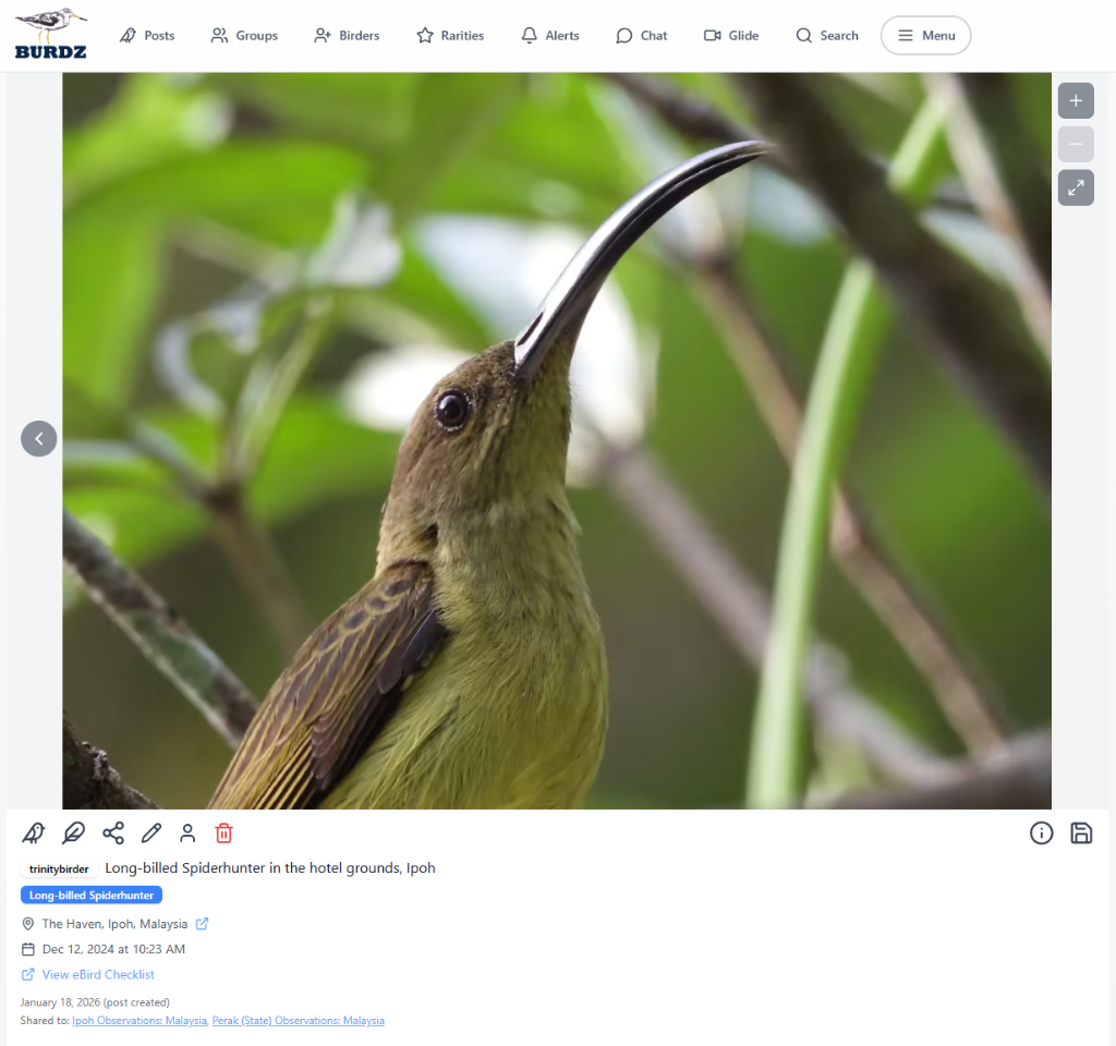 Desktop post view 2