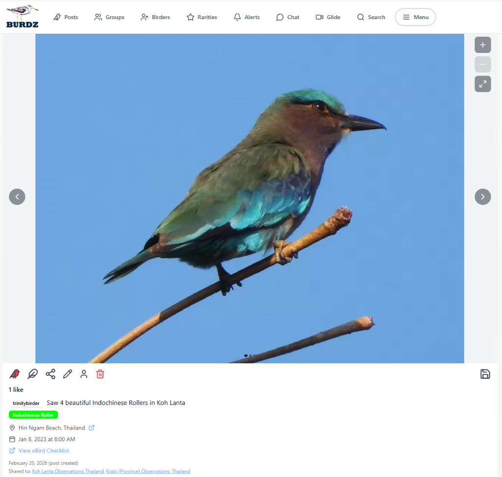 Desktop post view 10
