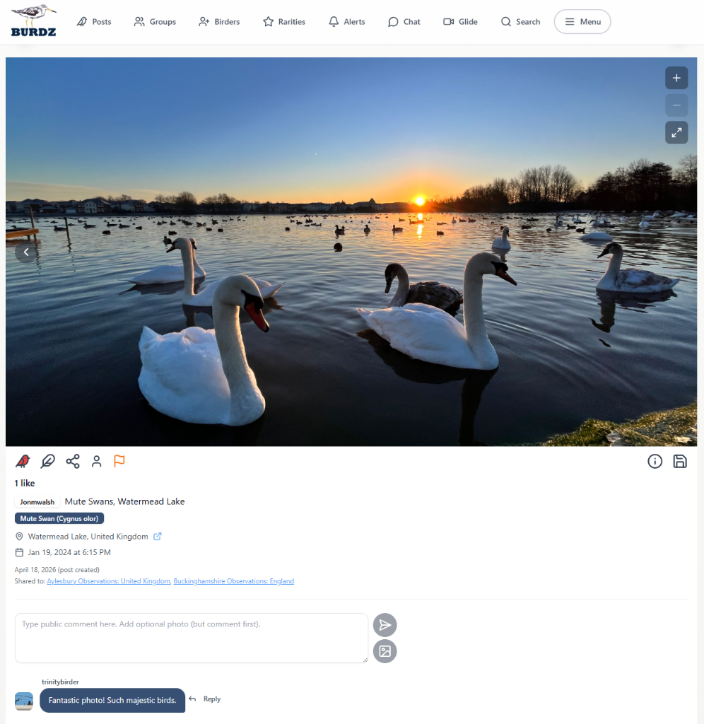 Desktop post view 1