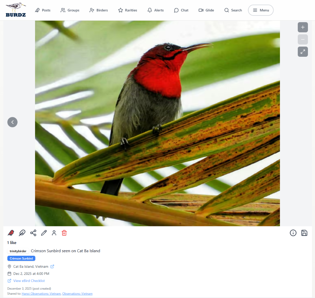 Desktop post view 3