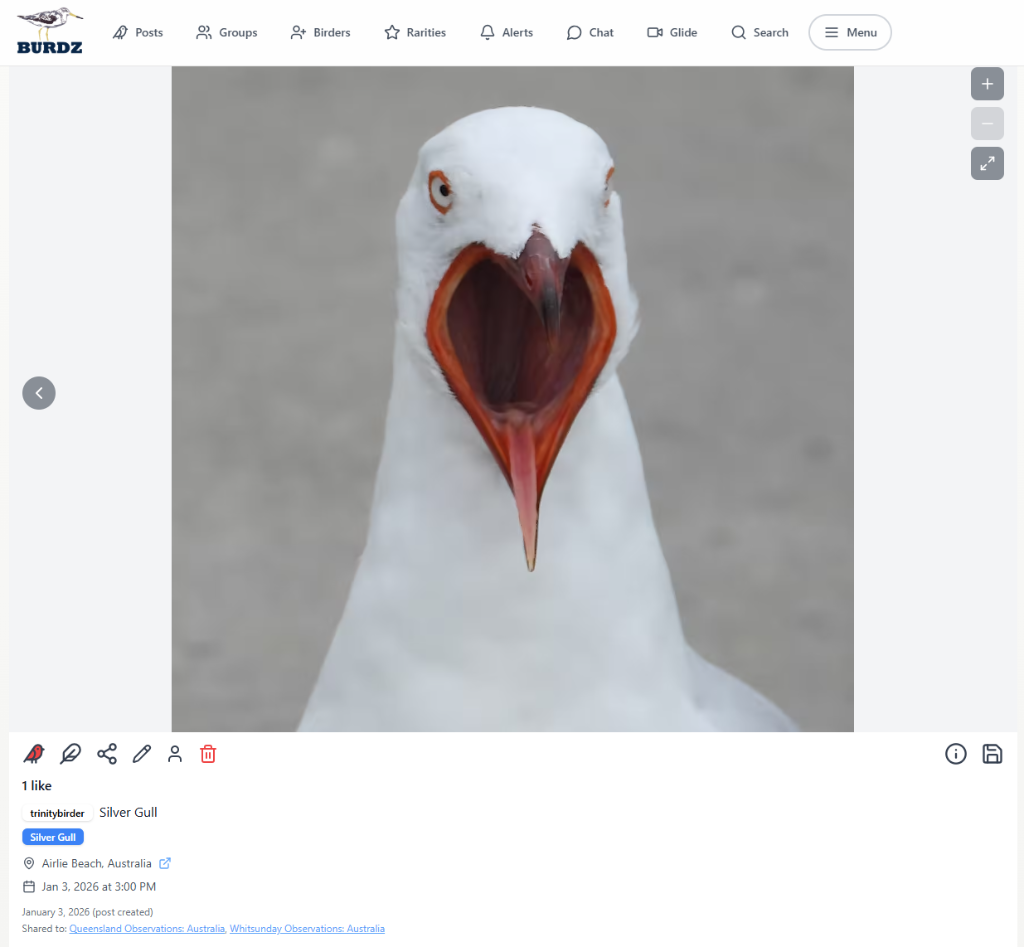 Desktop post view 5