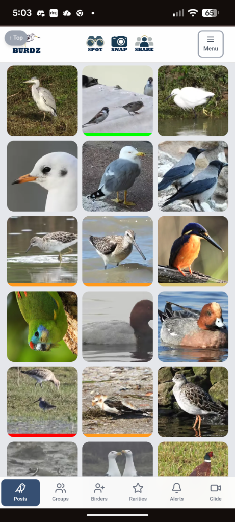 App screenshot 2
