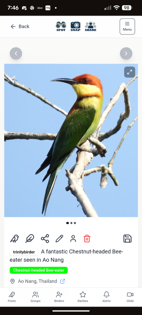 Bird sighting 2