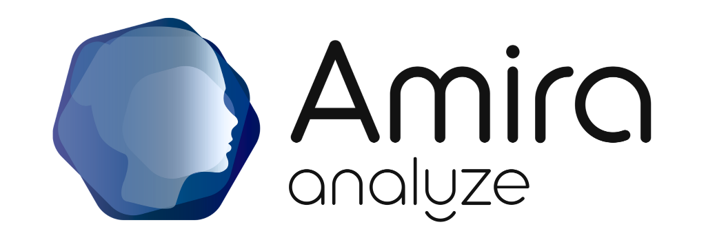 Amira.analyze