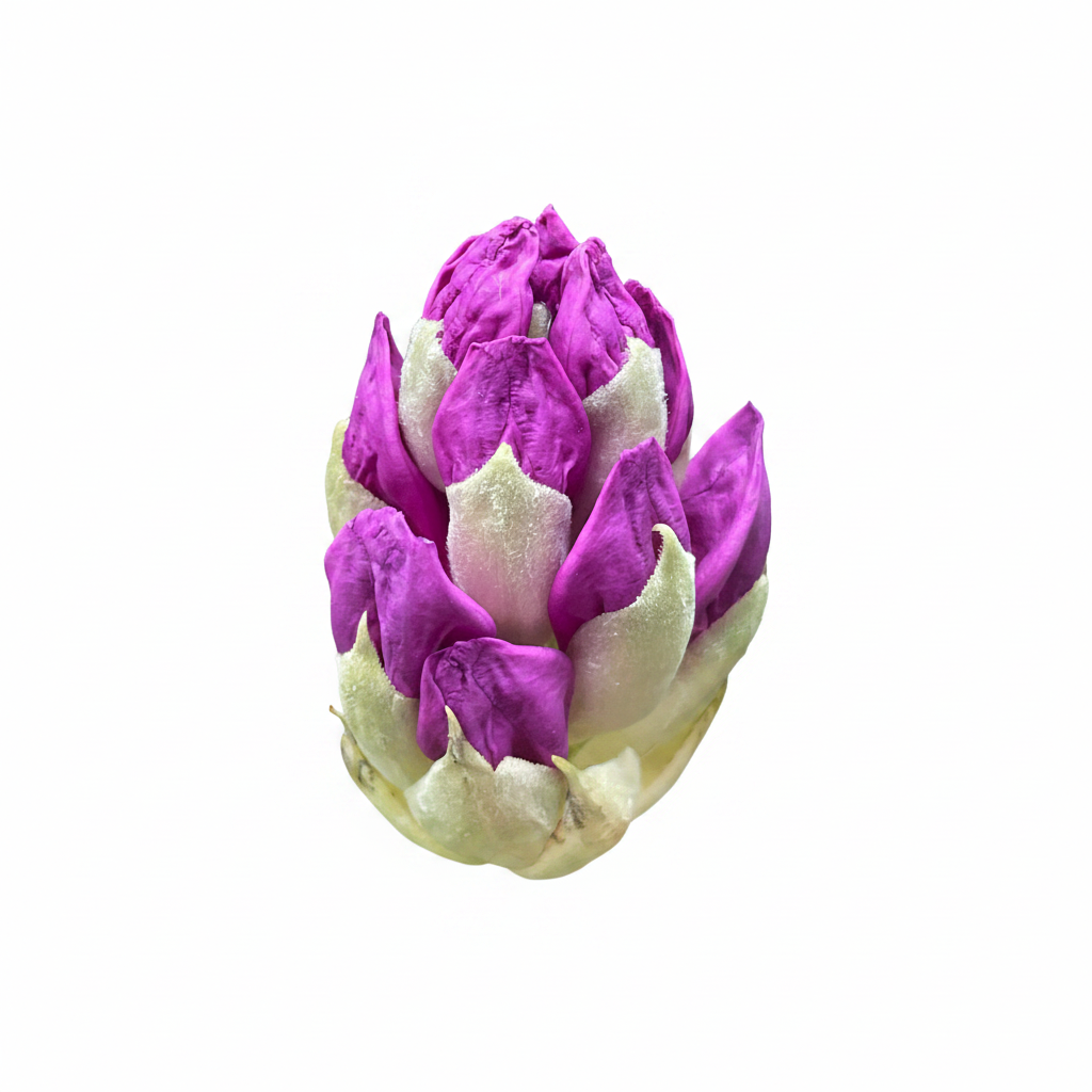 Rhododendron Bud