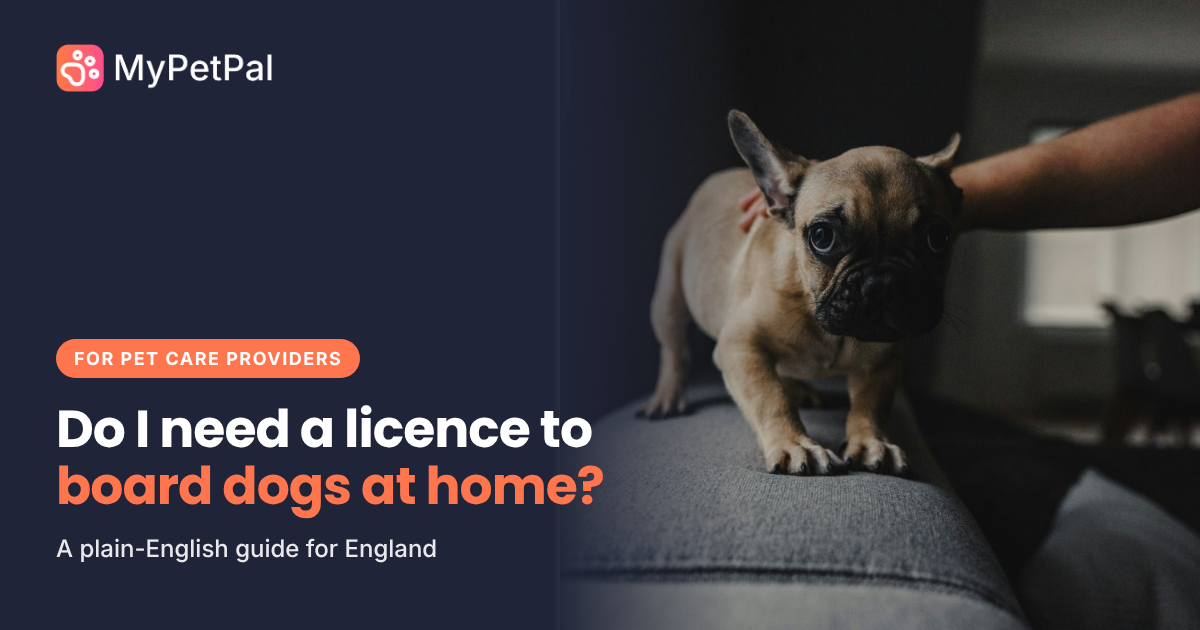Do I need a licence to board dogs at home? A plain-English guide for England