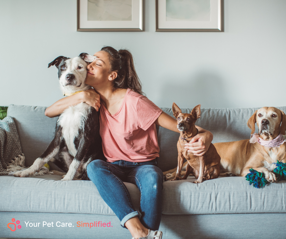 Pet care provider relaxing on a couch with a dog