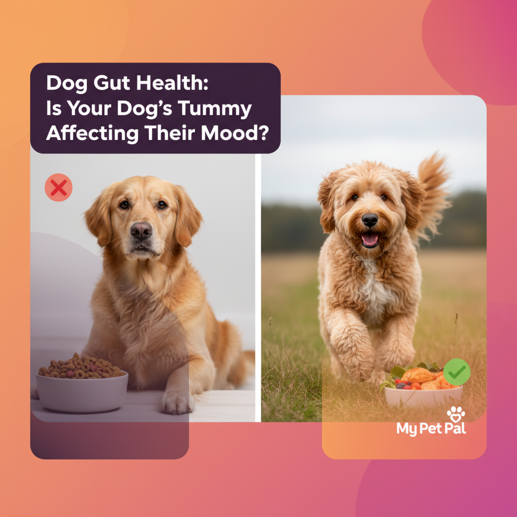 A happy dog sitting in a garden, looking healthy and content, representing good gut health and mood.