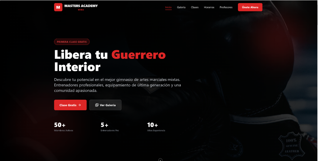 MastersAcademyMMA