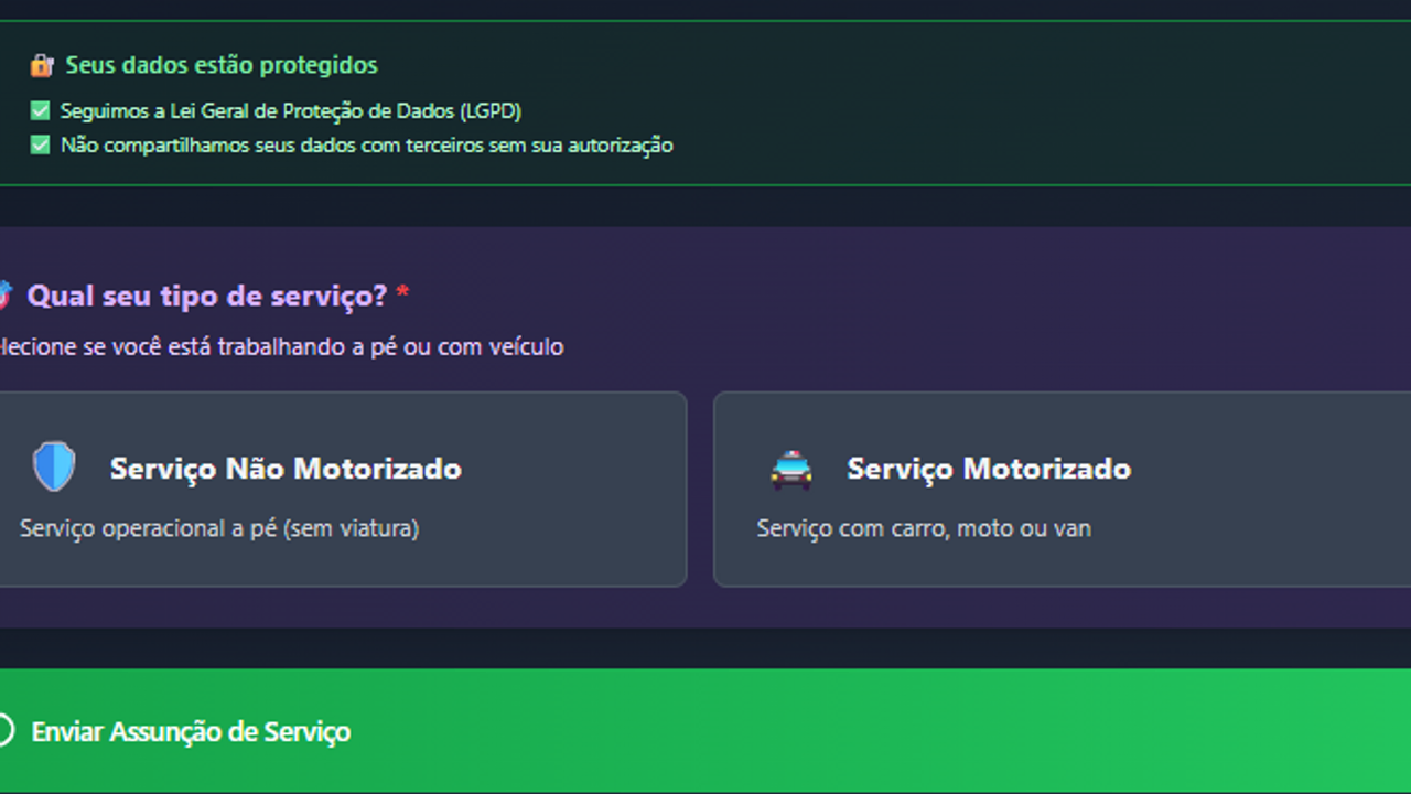 checklist frotas  template preview