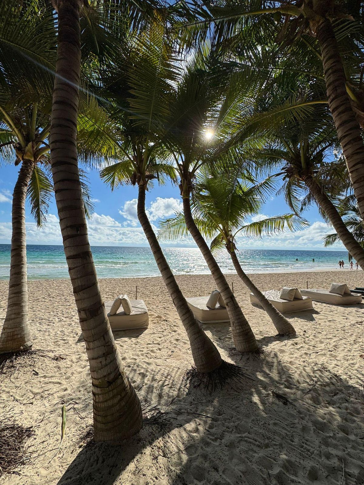 Beach lounge seating overlooking palm trees and Caribbean Sea