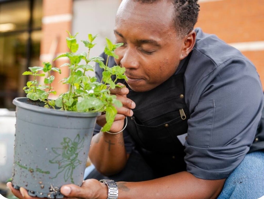 Chef with herbs in the garden