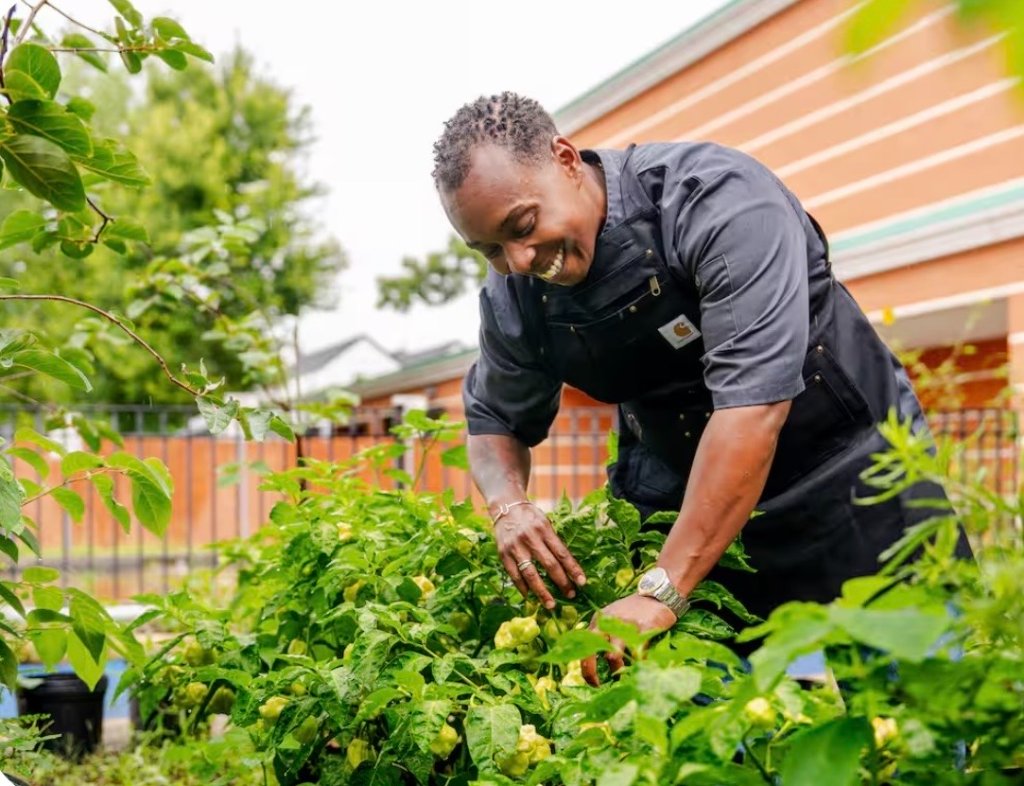 Chef Maubs tending pepper plants