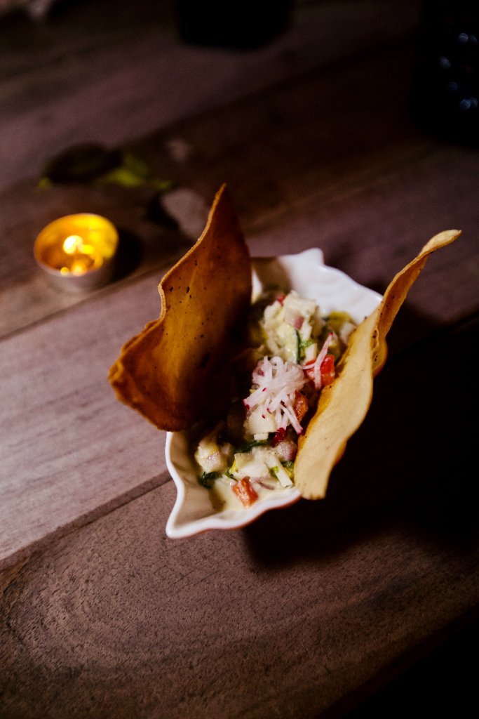 Ceviche close-up