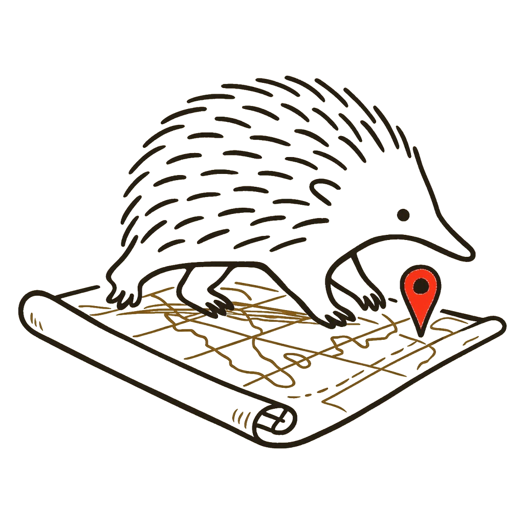 Echidna Maps
