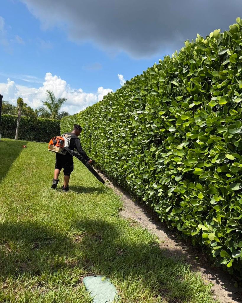 Hedge Maintenance