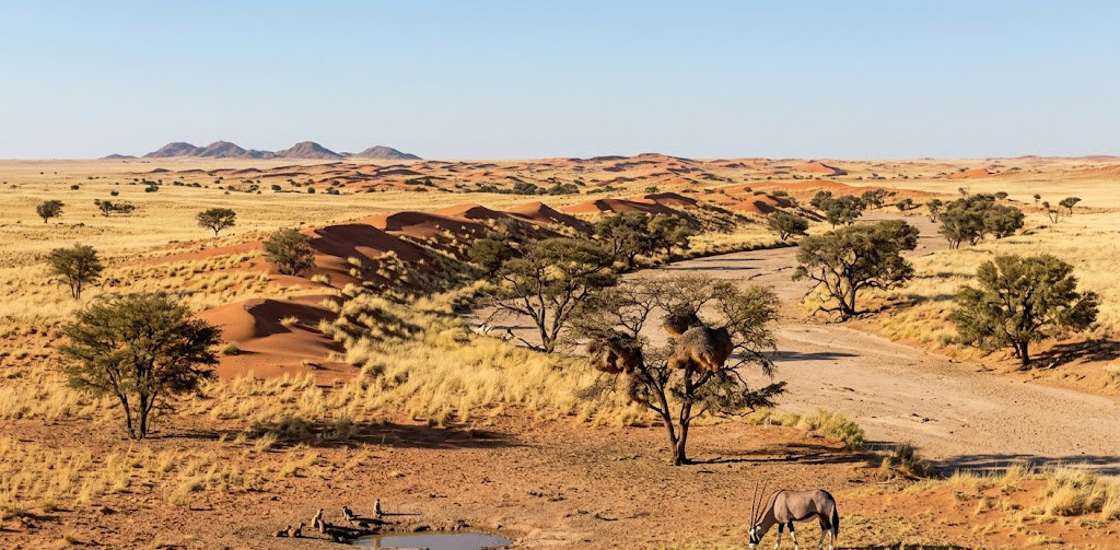 Crossing the Kalahari: A Desert Drive Like No Other