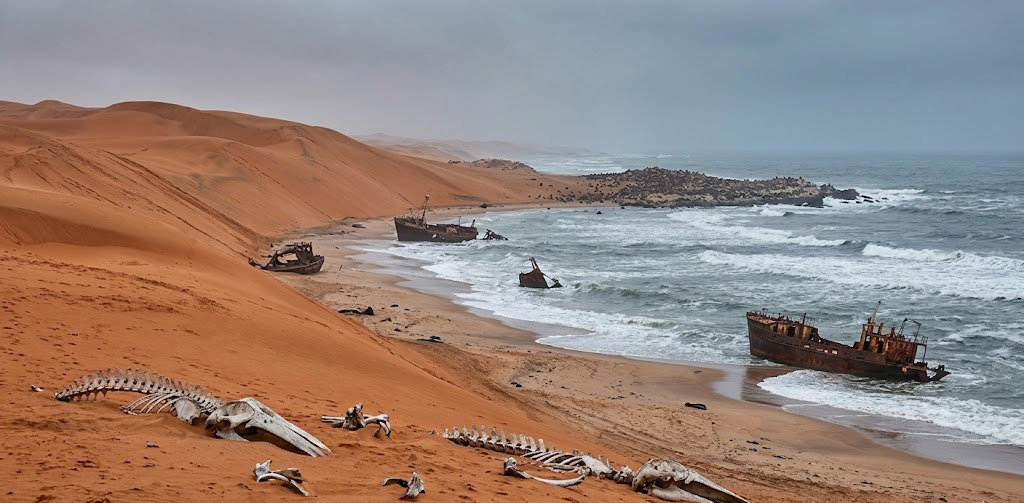 Driving the Skeleton Coast: Sand, Sea & Salt