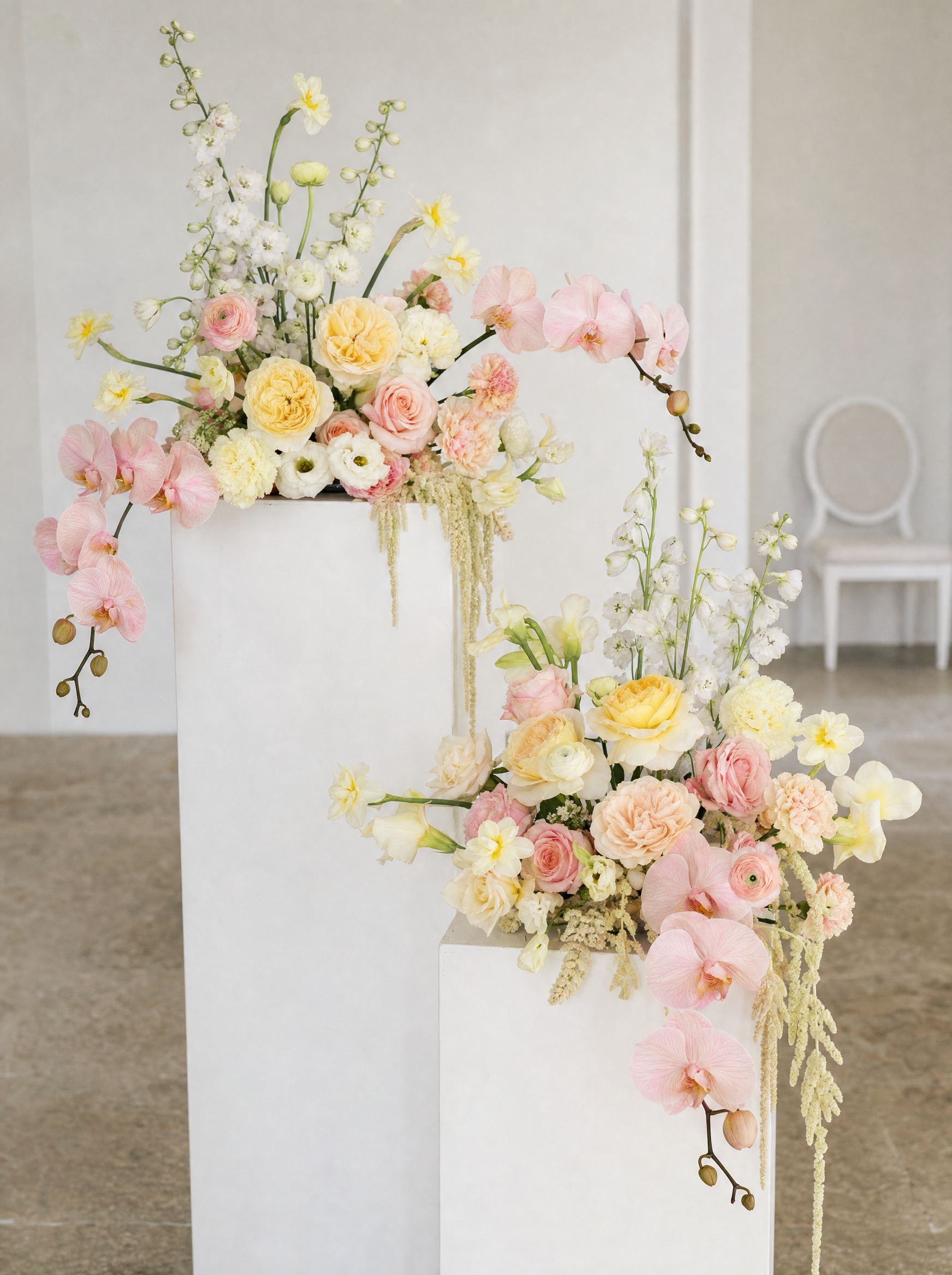 Lemon Sorbet Orchid Plinths