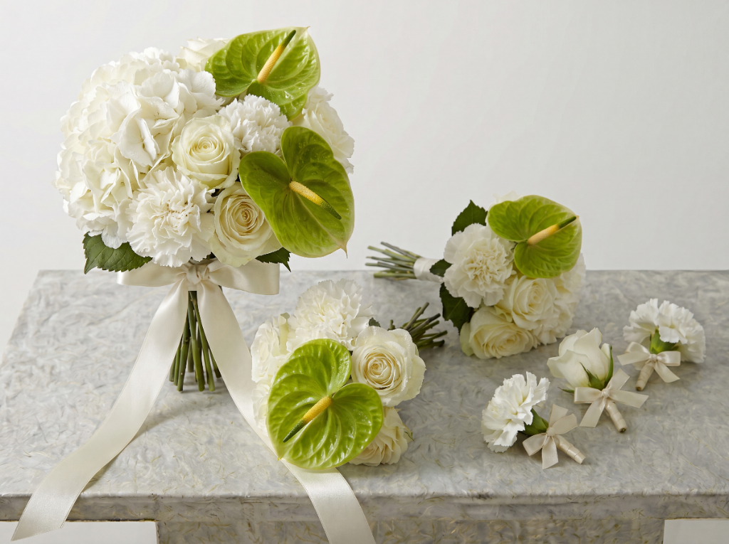 Green Anthurium & White