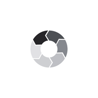 FOCUS logo