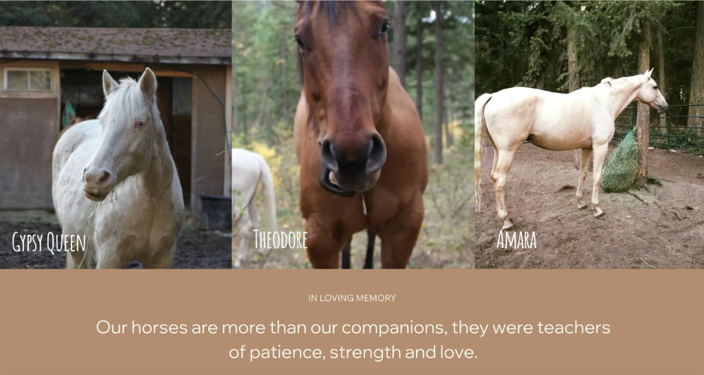Equine therapy website design - horses in loving memory