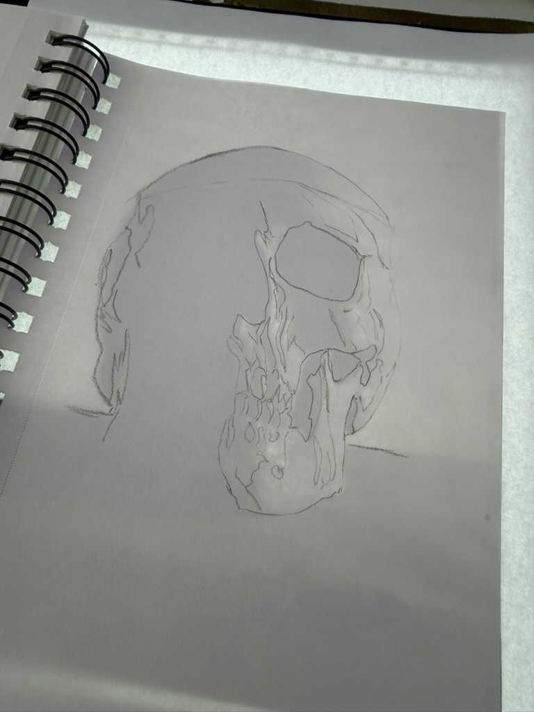 Skull pencil sketch illustration