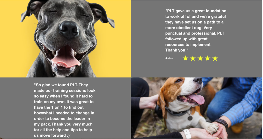 Pack Leader Training website testimonials design