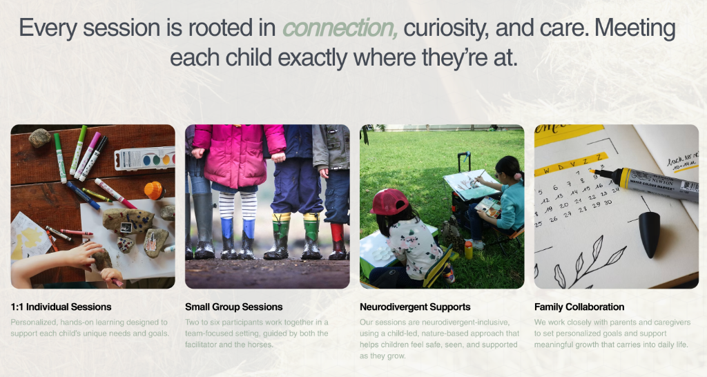 Equine therapy website design - session types