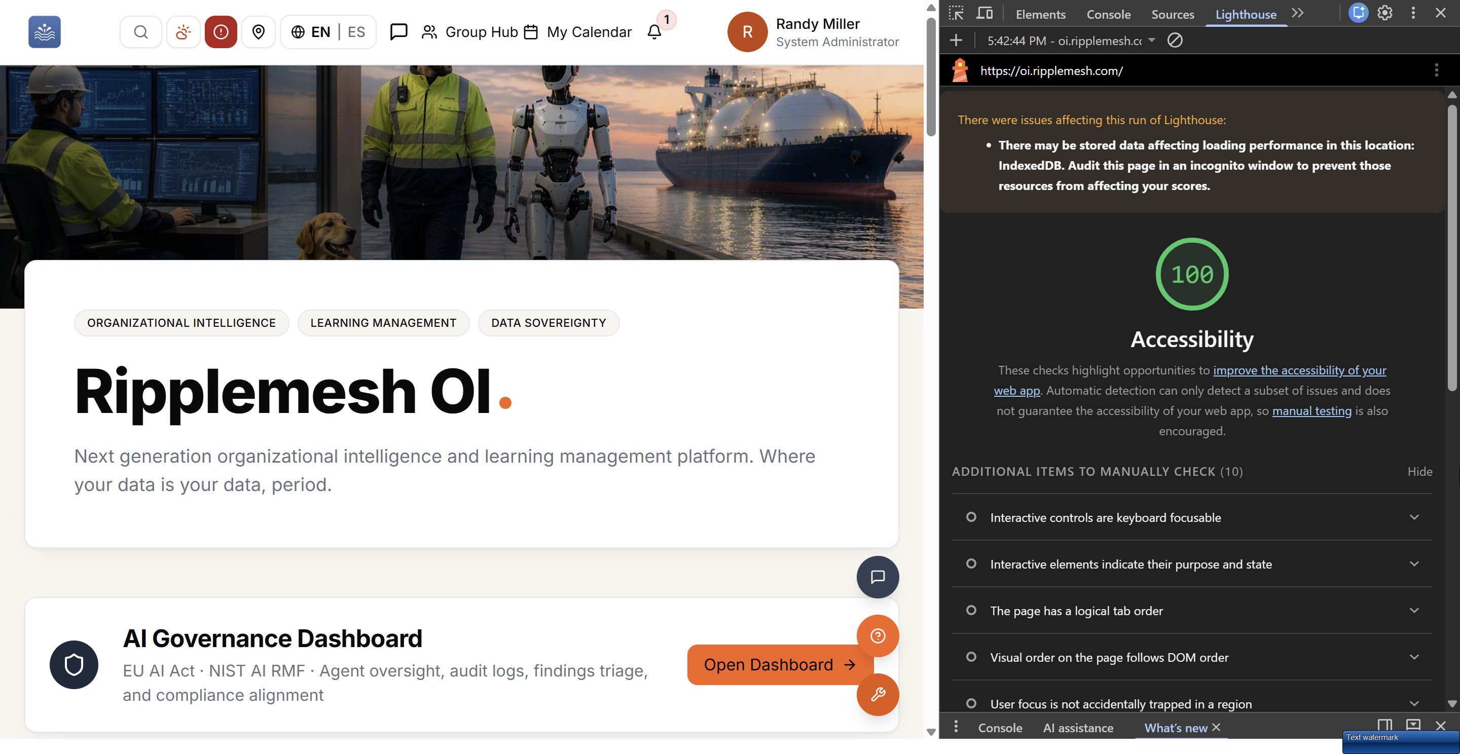 Ripplemesh OI platform splash page alongside a Google Lighthouse audit showing a perfect 100 accessibility score