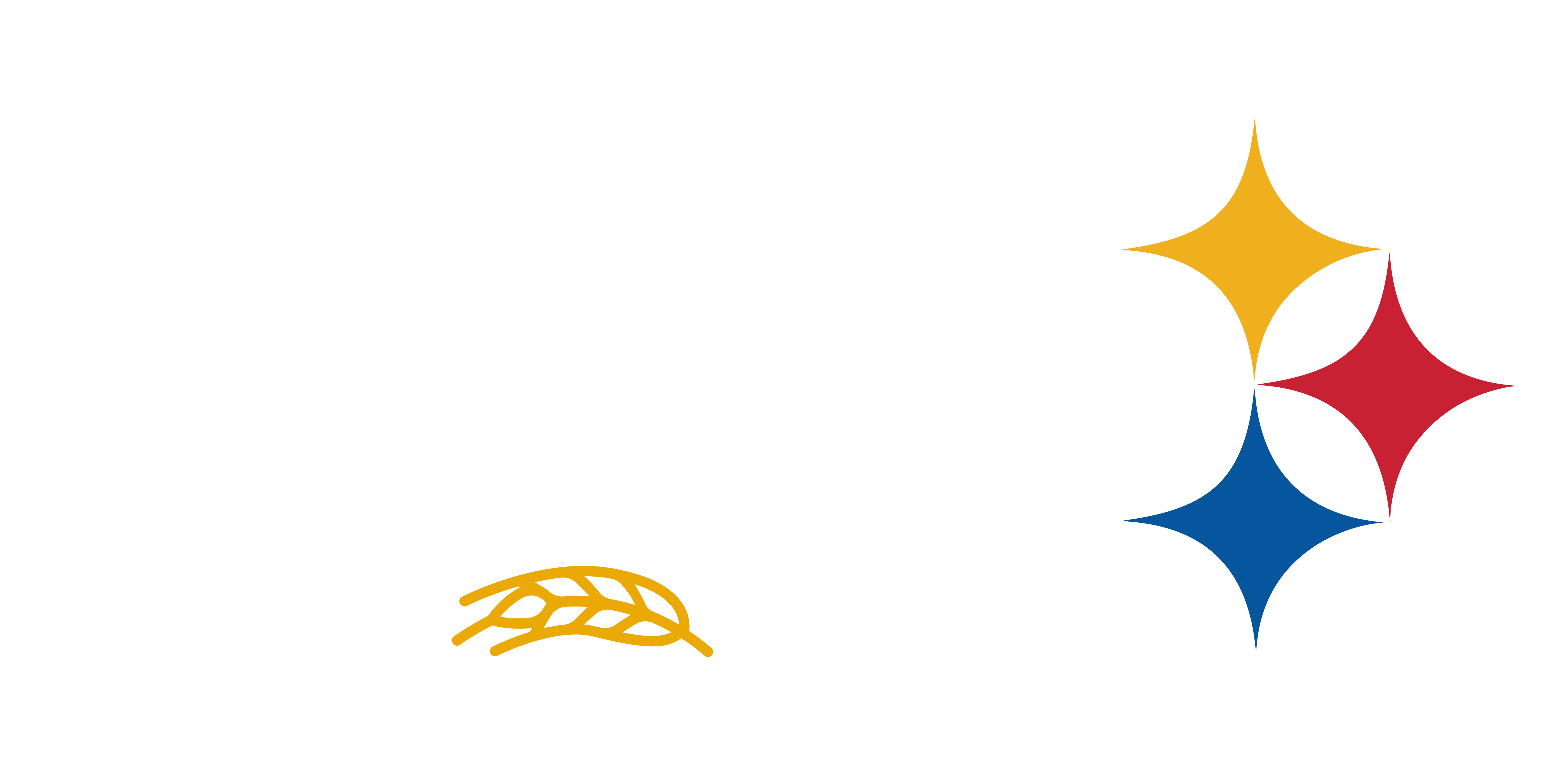 Lookout Tavern - Steeler Nation HQ