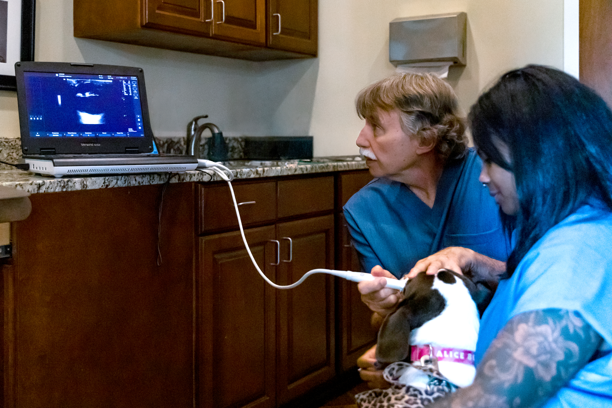 Ocular Oncology - Veterinary ophthalmology service at Animal Eye Care of Richmond